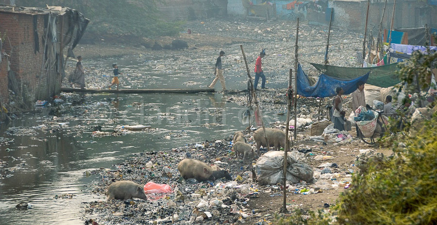 Fluss mit Plastikabfällen, Bewohner sitzen am Ufer mit gesammeltem Plastikmüll, Schweine wühlen im Ufermatsch.